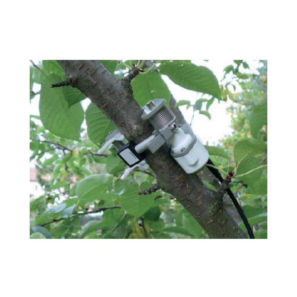 Dendrometre A Bande DBS40