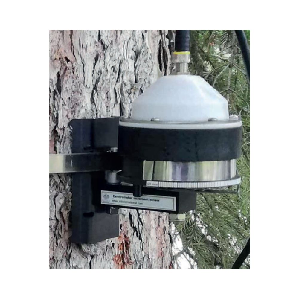 Dendrometre A Bande DBS60