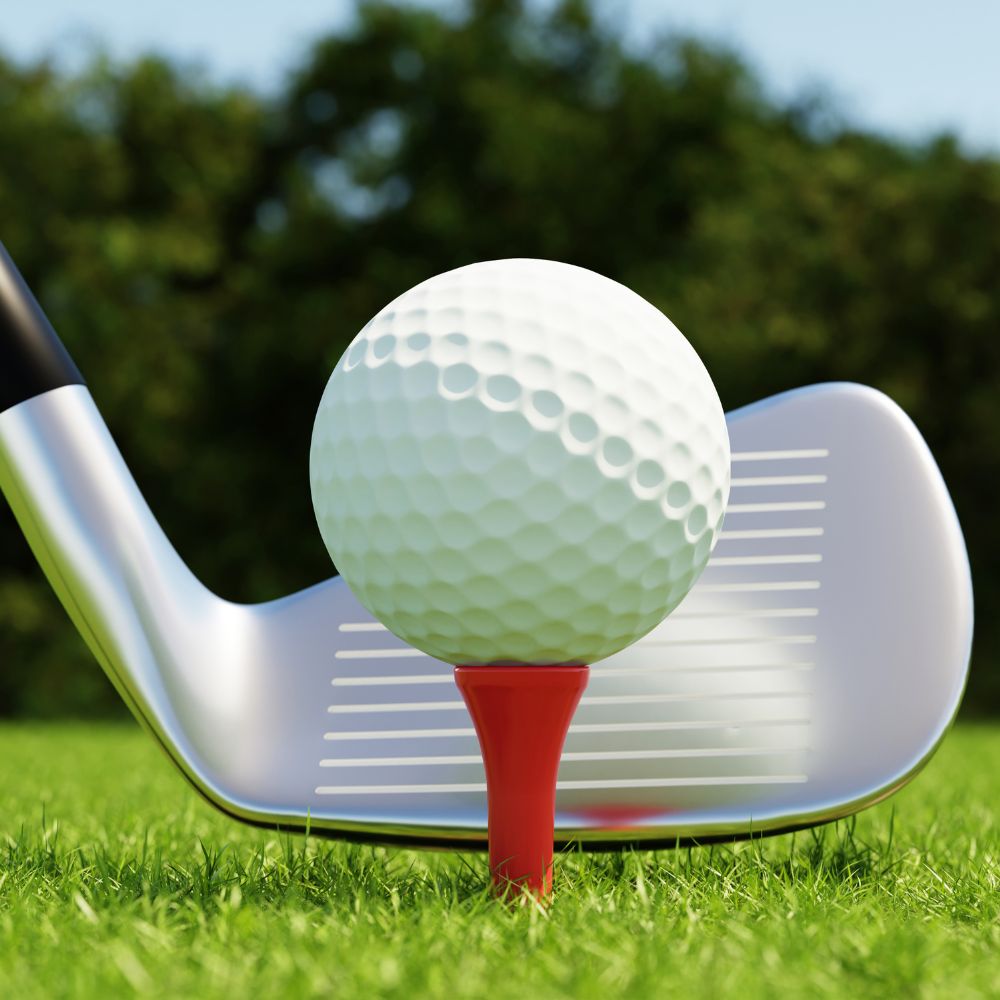 Echantillonage manuel de sols Gouges pour gazon et pelouse sportive