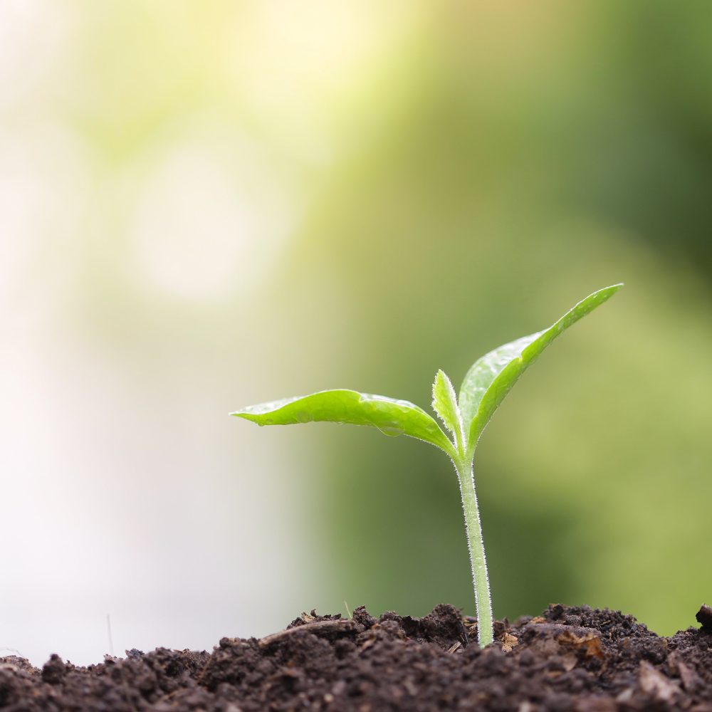 Instruments de mesure portatifs