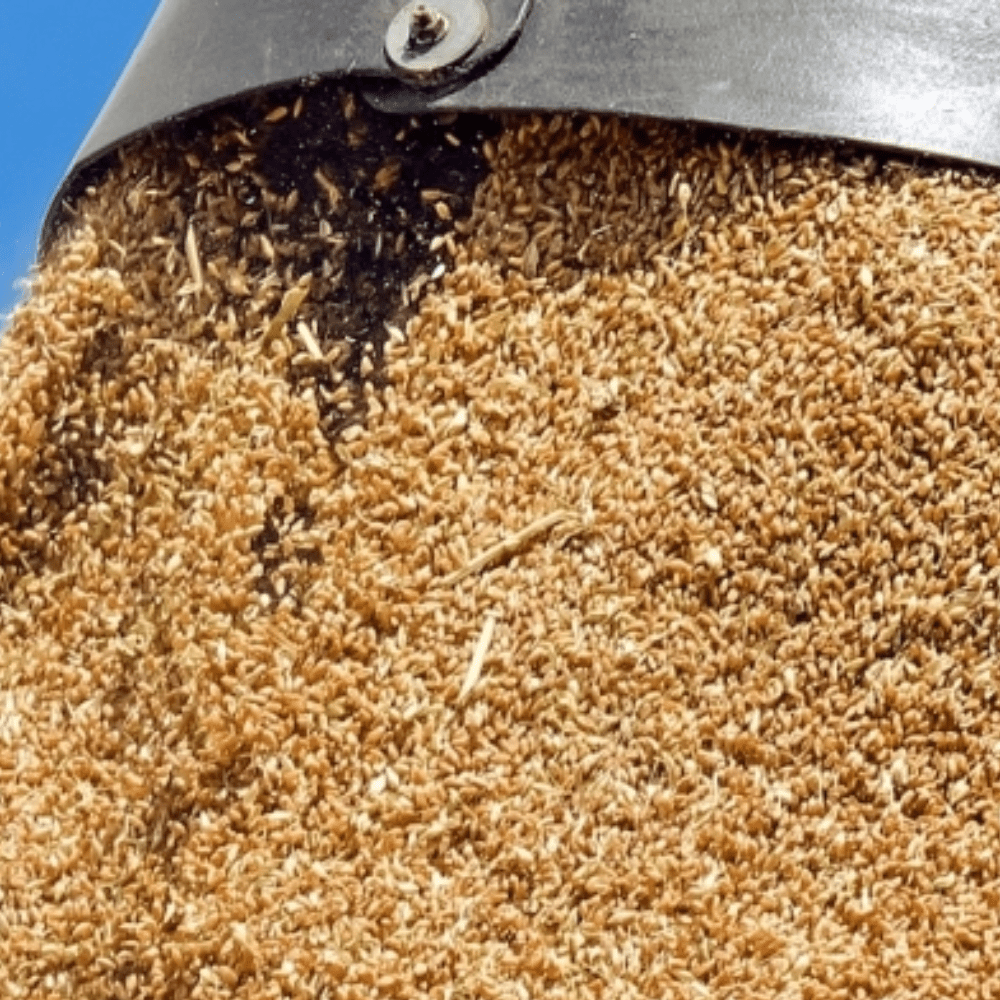 Capteur d'humidité ATEX TRIME-Ex GWs pour solides en vrac hétérogènes et céréales example céreales