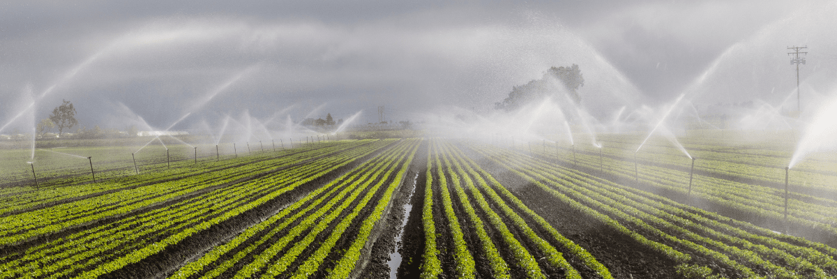Gestion de l'irrigation