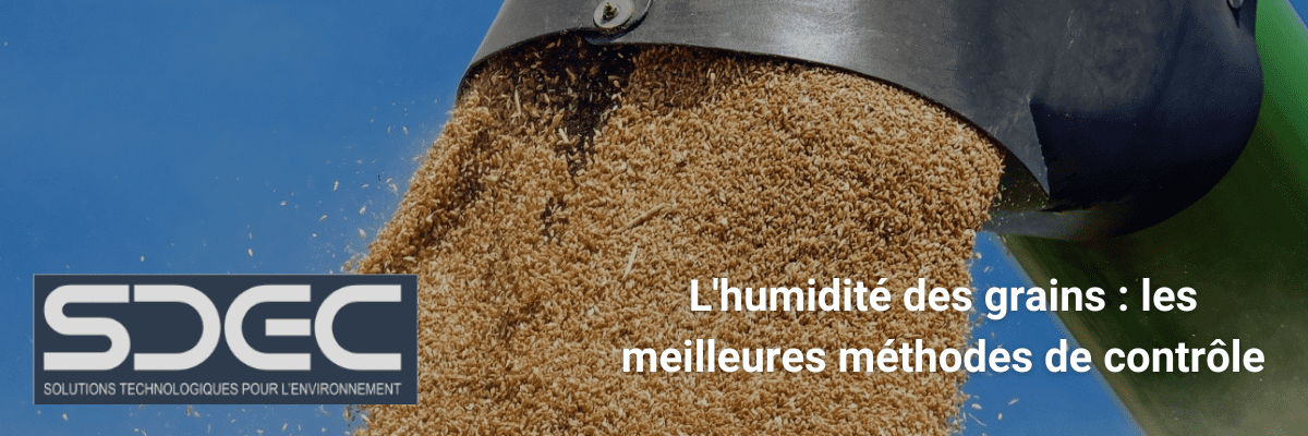 Le rôle des capteurs d’oxygène dissous en aquaculture Un guide pratique (1)