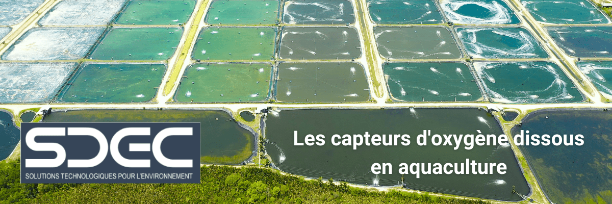 Le rôle des capteurs d’oxygène dissous en aquaculture Un guide pratique