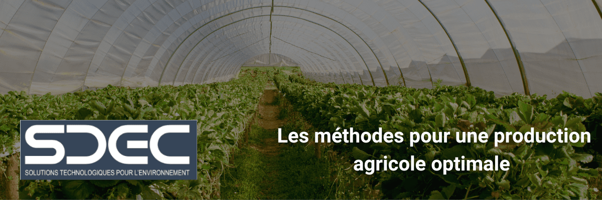 Les méthodes pour une production agricole optimale﻿