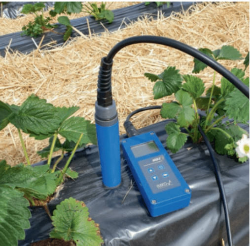 Pico 32 dans un sol léger