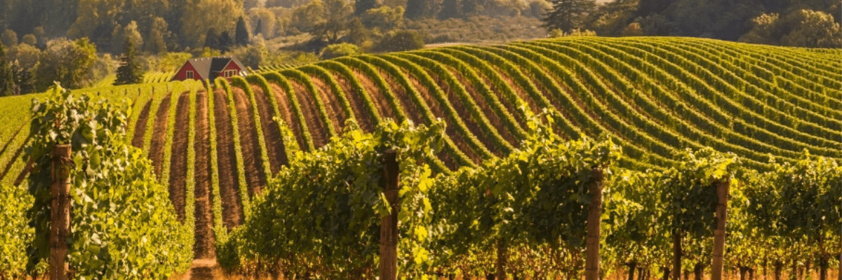 Station météo autonome pour cultures qualitatives (Vergers et Vignobles)