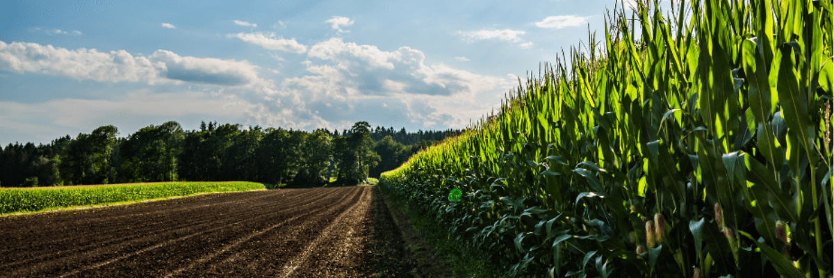 Station météo autonome pour cultures quantitatives (Pomme de terre, Maïs et Blé)
