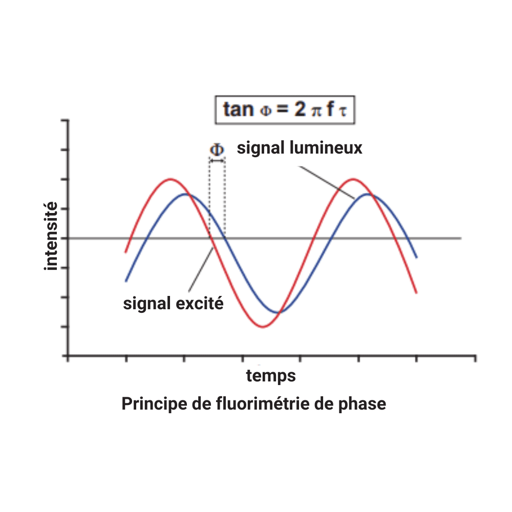 Le rôle des capteurs d'oxygène dissous en aquaculture : Un guide pratique