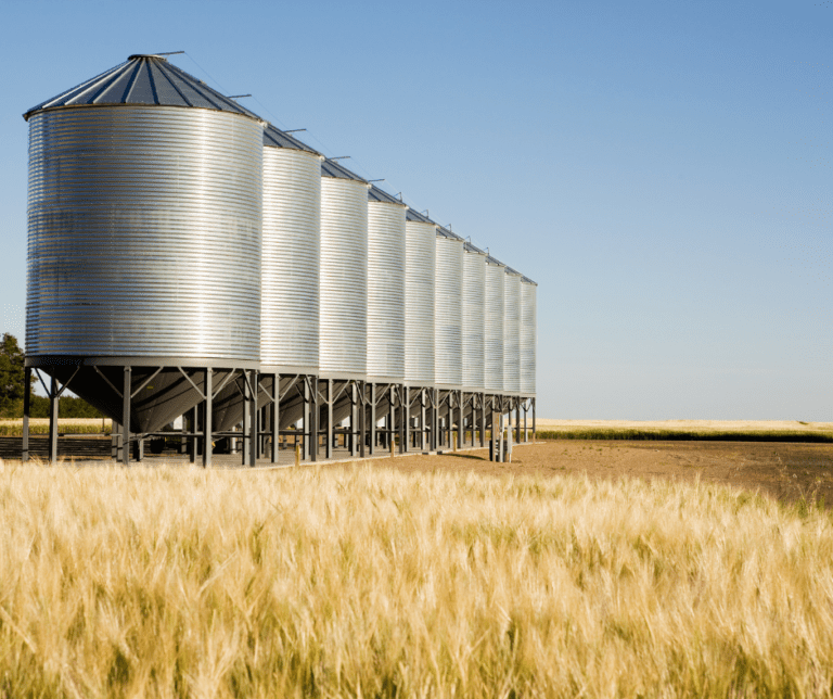grain containers
