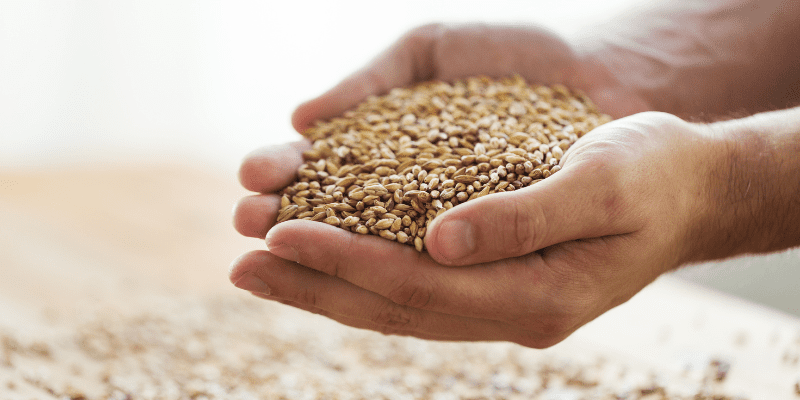 resize grain in hands