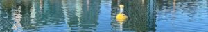 Bouée d’acquisition de données Rugged Buoy - Solution pour la surveillance environnementale en service