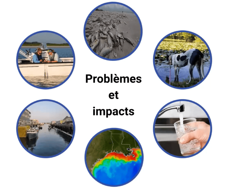 Problèmes et impacts