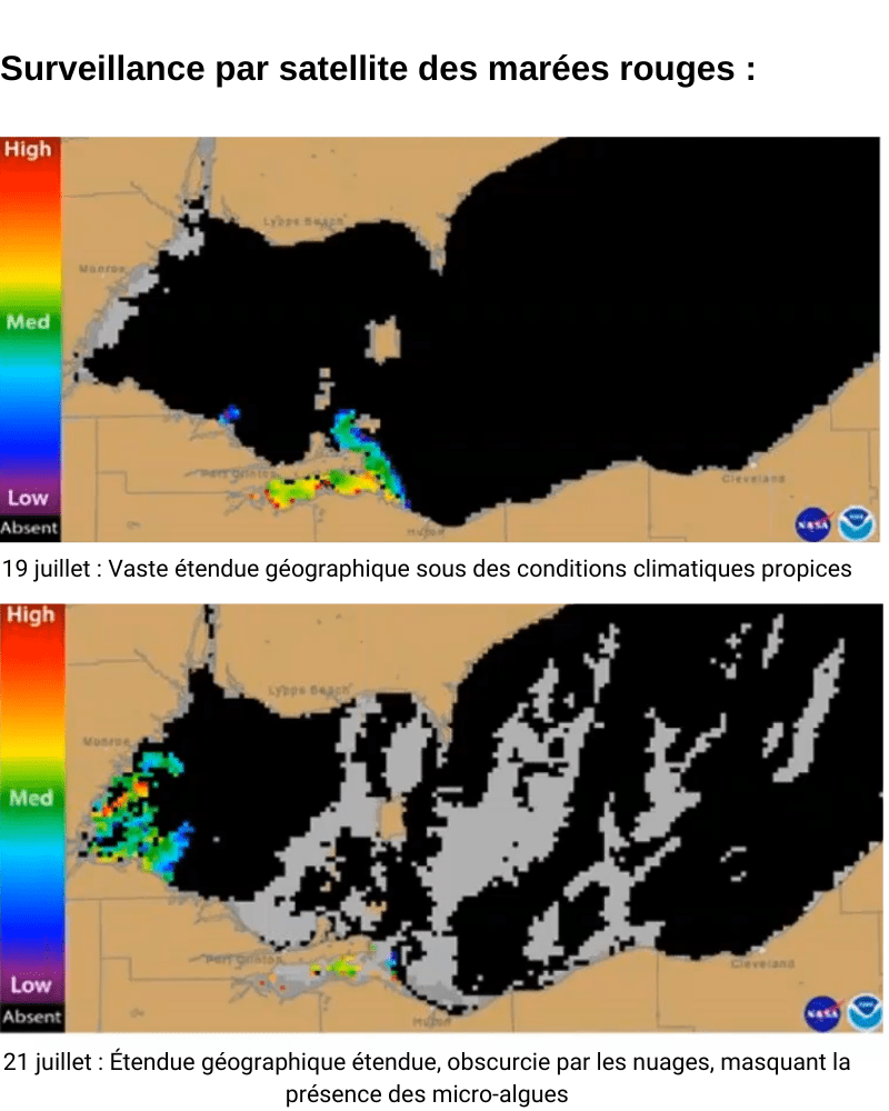 Surveillance par satellite des marées rouges
