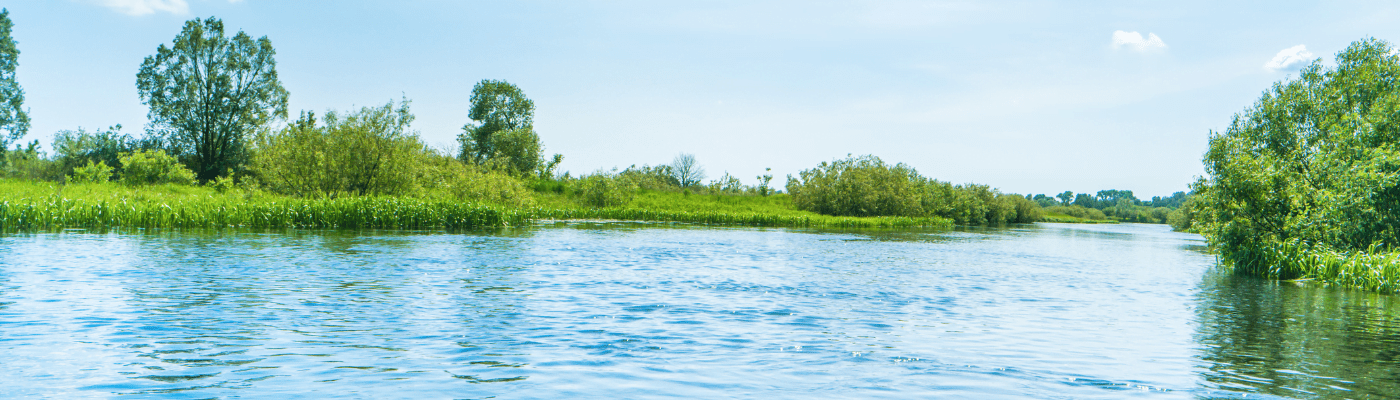 rivière - surface water