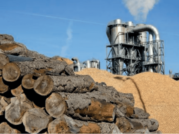 wood and machine in background