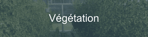Végétations