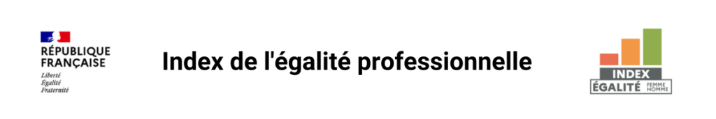 Index de l'égalité professionnelle SDEC France